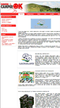 Mobile Screenshot of caravancamperok.it